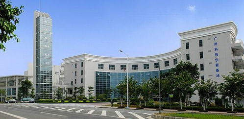 空氣污染致癌風(fēng)險(xiǎn)高,綠陽(yáng)為您健康保駕護(hù)航