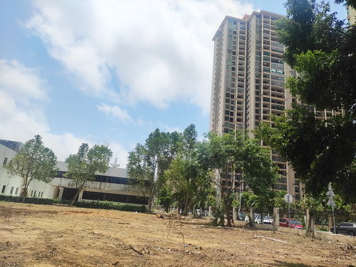 北海市中心北海大道旁這個老工廠開始拆了,準(zhǔn)備搞房地產(chǎn)項(xiàng)目